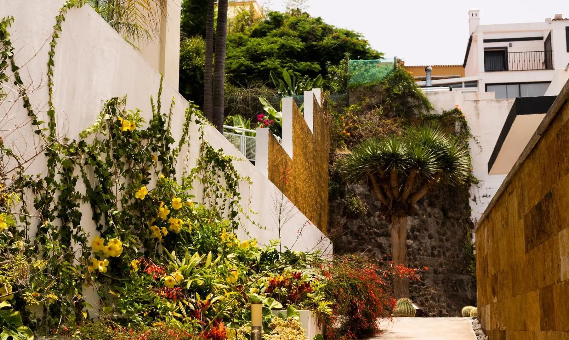Villa Laurisilva El El Sauzal Spanien